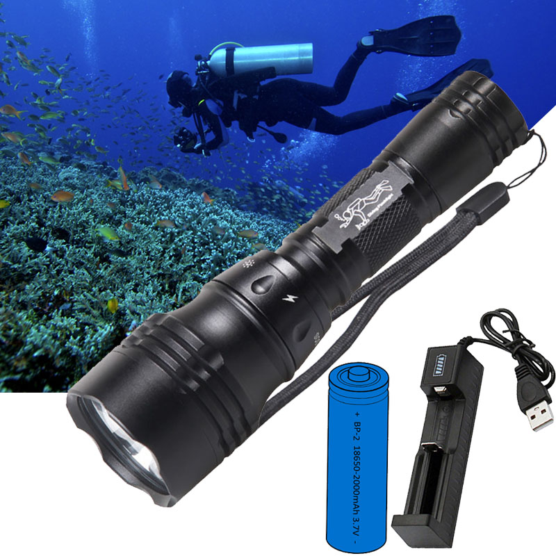 Lampe de plongée portable 10W  - Fish Finder Charger avis et prix